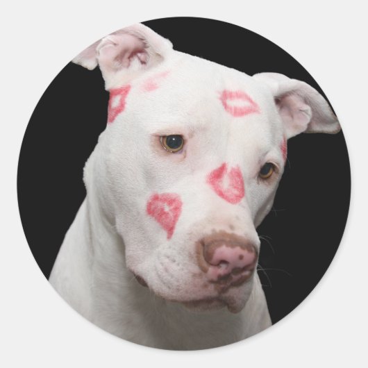 Pitbull Lover Ronde Sticker (Voorkant)
