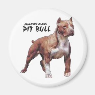 Pitbull Magneet