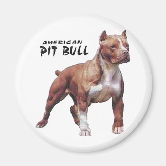 Pitbull Magneet (Voorkant)
