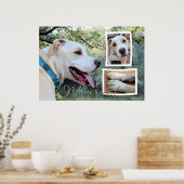 Pitbull - Maverick Composiet Poster (Keuken)