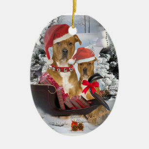 Pitbull met de slee Ornament van Santa