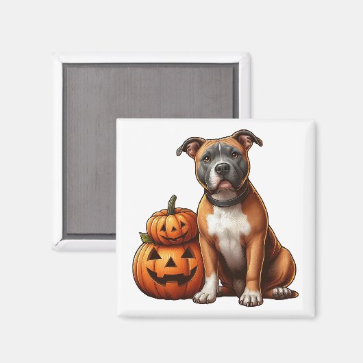 Pitbull met Halloween pompoenen Magneet (Voorkant / Achterkant)