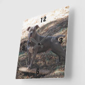 Pitbull met skateboard Genummerde Klok van de Muur (Hoek)