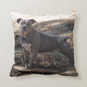Pitbull met Skateboard Pillow Kussen