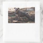 Pitbull met Skateboard-Stickers Rechthoekige Sticker (Tas)