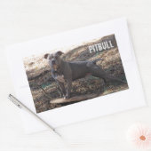 Pitbull met Skateboard-Stickers Rechthoekige Sticker (Envelop)