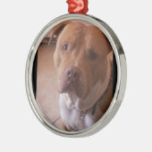 pitbull metalen ornament (Links)