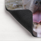 Pitbull Mousepad Muismat (Hoek)