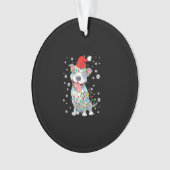 Pitbull Noël Santa Hat éclaire le chien (devant)