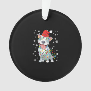 Pitbull Noël Santa Hat éclaire le chien