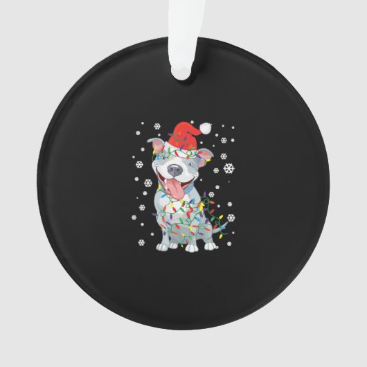 Pitbull Noël Santa Hat éclaire le chien (devant)
