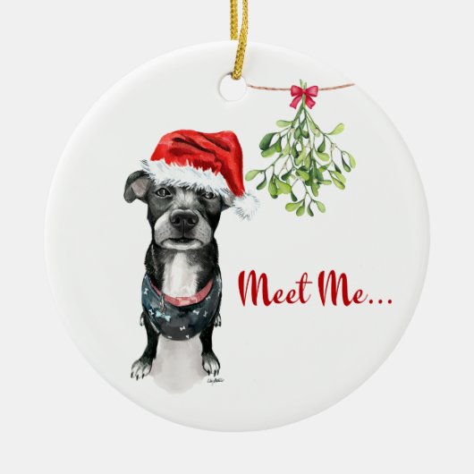 Pitbull Ornament - Ontmoet me onder de mistletoe (Voorkant)