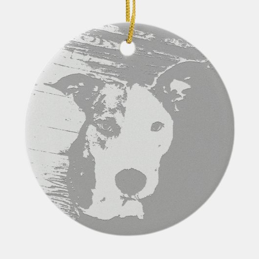 PITBULL ORNAMENT PITTY (Voorkant)
