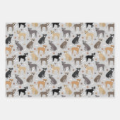 Pitbull Paws en Botten Inpakpapier Vel (Voorkant 3)