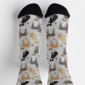 Pitbull Paws en Botten Socks Sokken (Top)