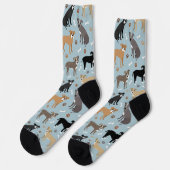 Pitbull Paws en Botten Socks Sokken (Links)