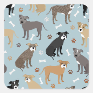 Pitbull Paws en Botten Vierkante Sticker