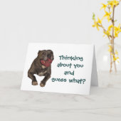 Pitbull Penser À Votre Carte De Voeux (Fleur jaune)