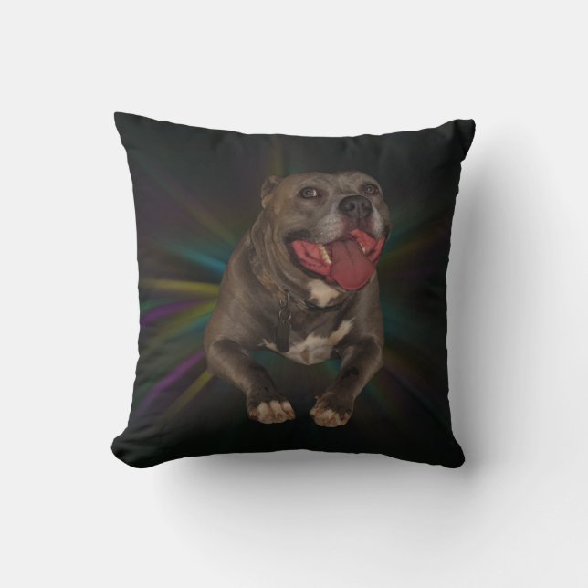 Pitbull Pillow Kussen (Voorkant)