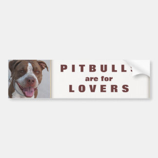 Pitbull Play met mij Bumpersticker