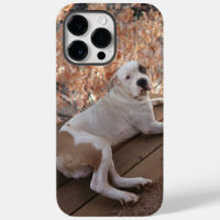 Pitbull Porch Dog iPhone Case