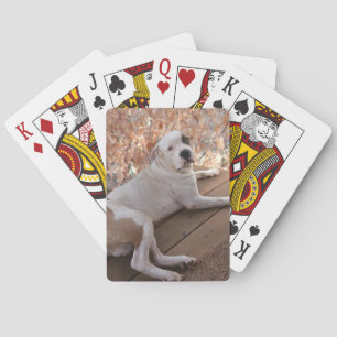 Pitbull Porch Dog-speelkaarten Pokerkaarten