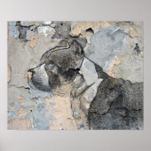 Pitbull Poster (Voorkant)