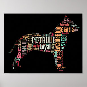 Pitbull Poster