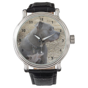Pitbull Profile Watch Horloge