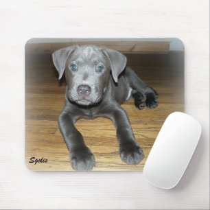 Pitbull Pup / Mooie Hond Muismat