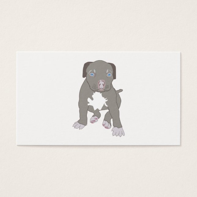Pitbull Puppy (Devant)