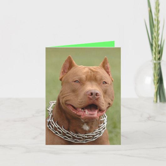 Pitbull Puppy Hond Blanke Briefkaart (Voorkant)