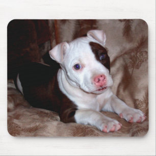 Pitbull Puppy Mousepad Muismat