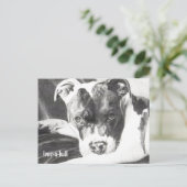 Pitbull Puppy op potlood 4 van Jacob Grimm Briefkaart (Staand voorkant)