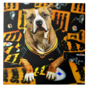 Pitbull Rescue Dog Football Fantaat Tegeltje