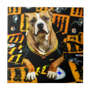 Pitbull Rescue Dog Football Fantaat Tegeltje