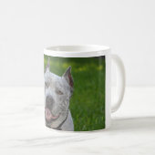 pitbull sharky bonjour de tasse de chien de (Devant droit)