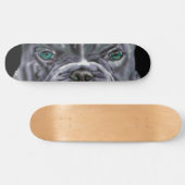 Pitbull Skateboard (Horizontaal)