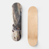 Pitbull Skateboard (Voorkant)