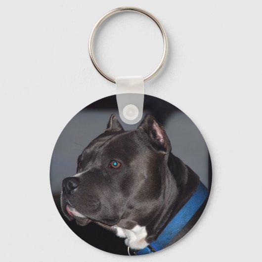 Pitbull Sleutelhanger (Voorkant)