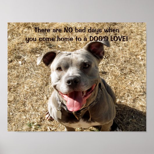 Pitbull Smiling Dog's Love Poster (Voorkant)