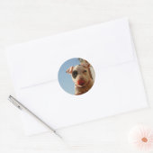 Pitbull stickers (Envelop)