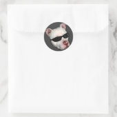 Pitbull stickers (Tas)