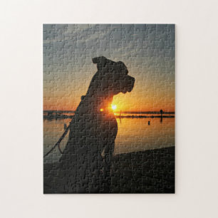 Pitbull Sunrise Puzzle Legpuzzel