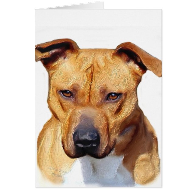 Pitbull Terrier (Devant)