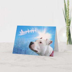 Pitbull Witte Hond Kerstwens Feestdagen Kaart
