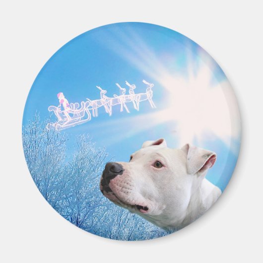 PItbull Witte Hond Kerstwens Magneet (Voorkant)