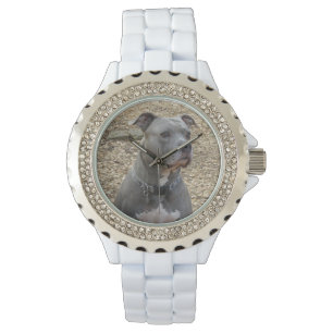Pitbull Women's Watch Horloge