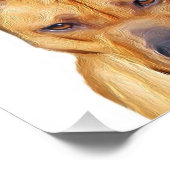 Pitbullehond Foto Afdruk (Hoek)