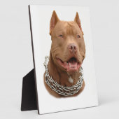 Pitbullehond Fotoplaat (Zijkant)